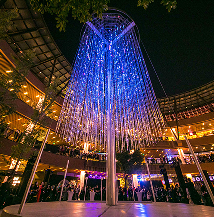 “光影上！！钡乒庖帐踅谒飨钅